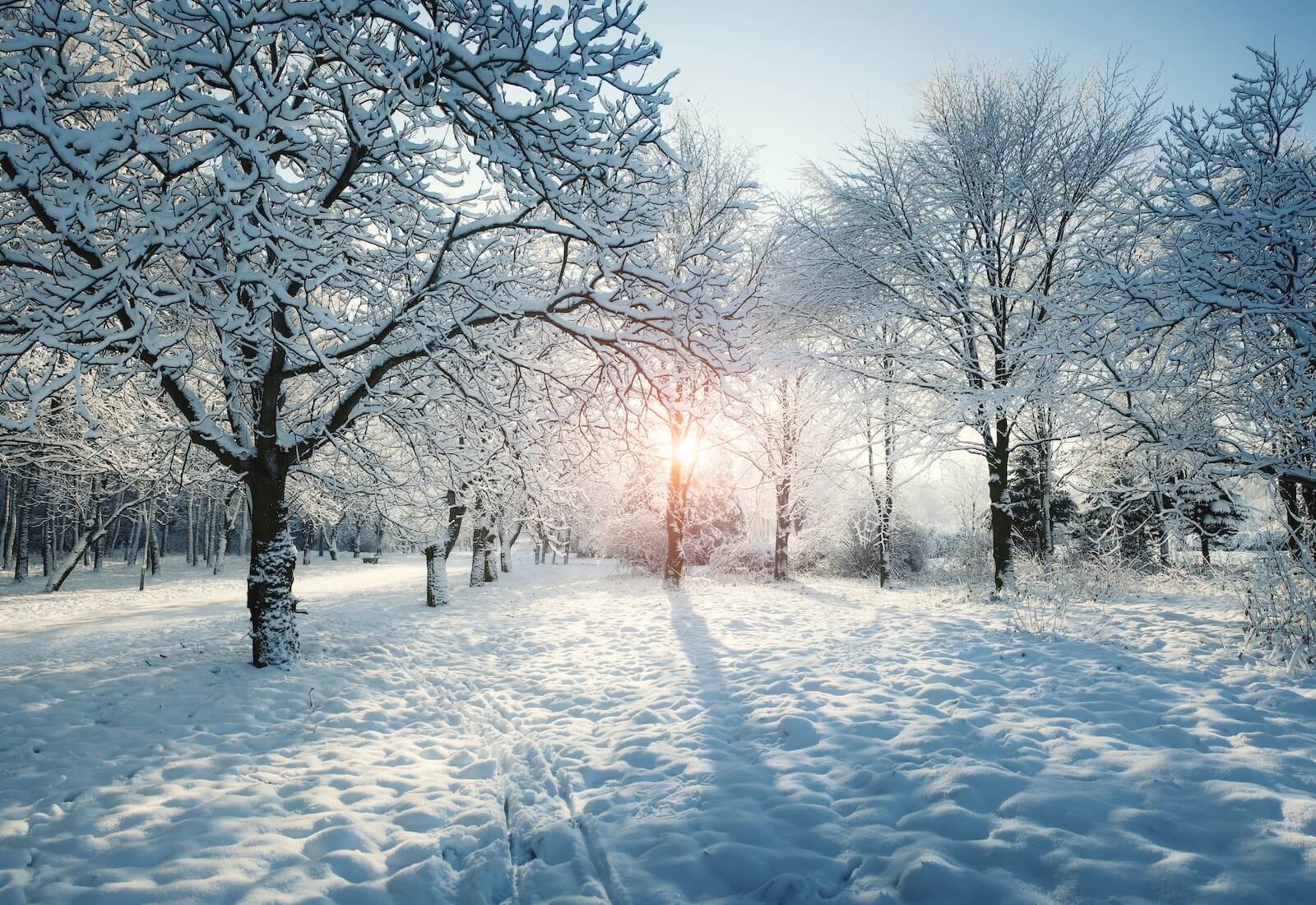 Top Dentists in Washintong DC