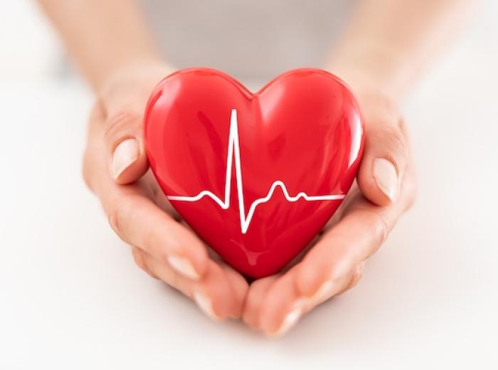 Healthy Teeth, Healthier Heart Stability